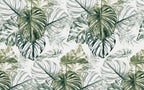 Green Monstera Sketch Wallpaper : Tropical Leaves Pattern - flat design