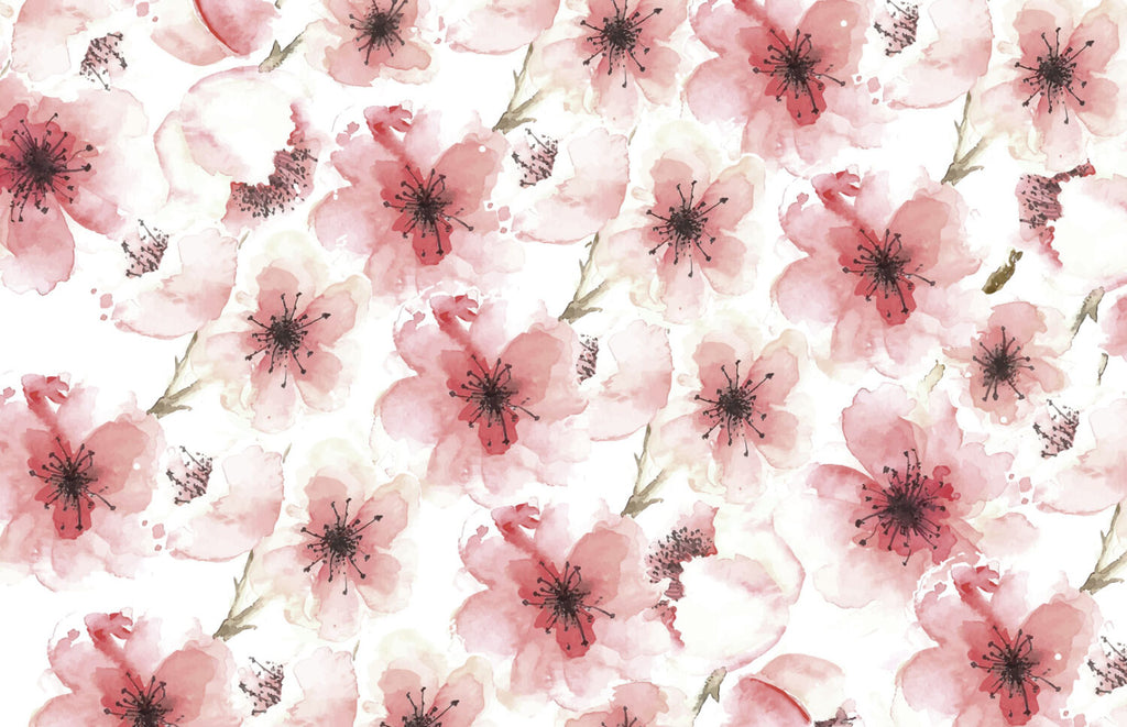 Pink Watercolor Blossom Wallpaper : Soft Cherry Flowers Pattern - flat design