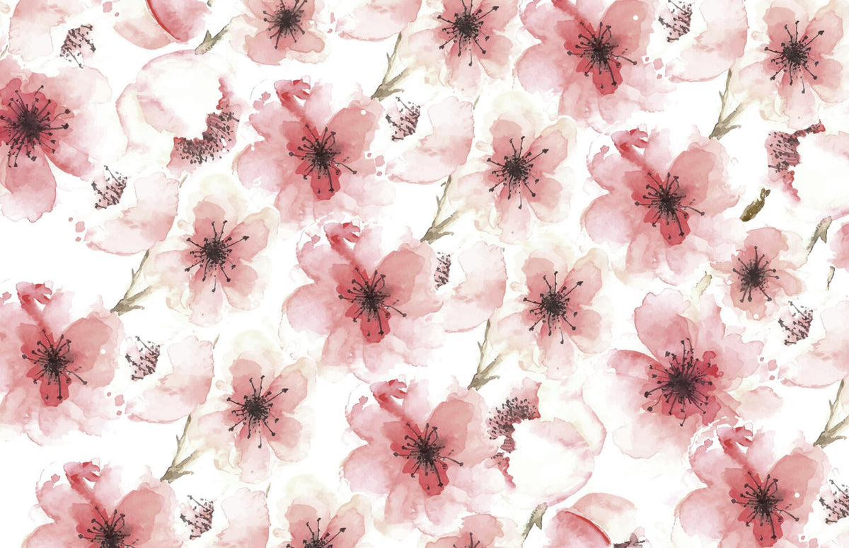 Pink Watercolor Blossom Wallpaper : Soft Cherry Flowers Pattern - flat design