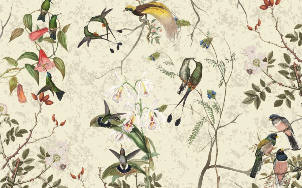 Hummingbird Orchid Wallpaper : Cream Botanical Bird Mural - View 2