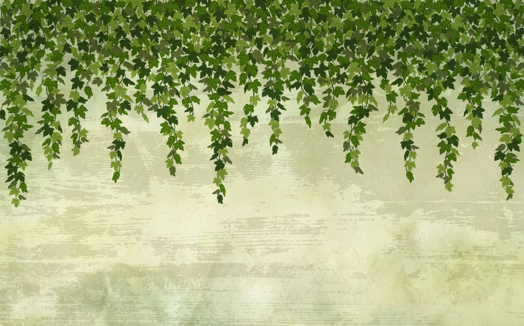 Hanging Ivy Wallpaper : Pale Green Vine Mural - View 2