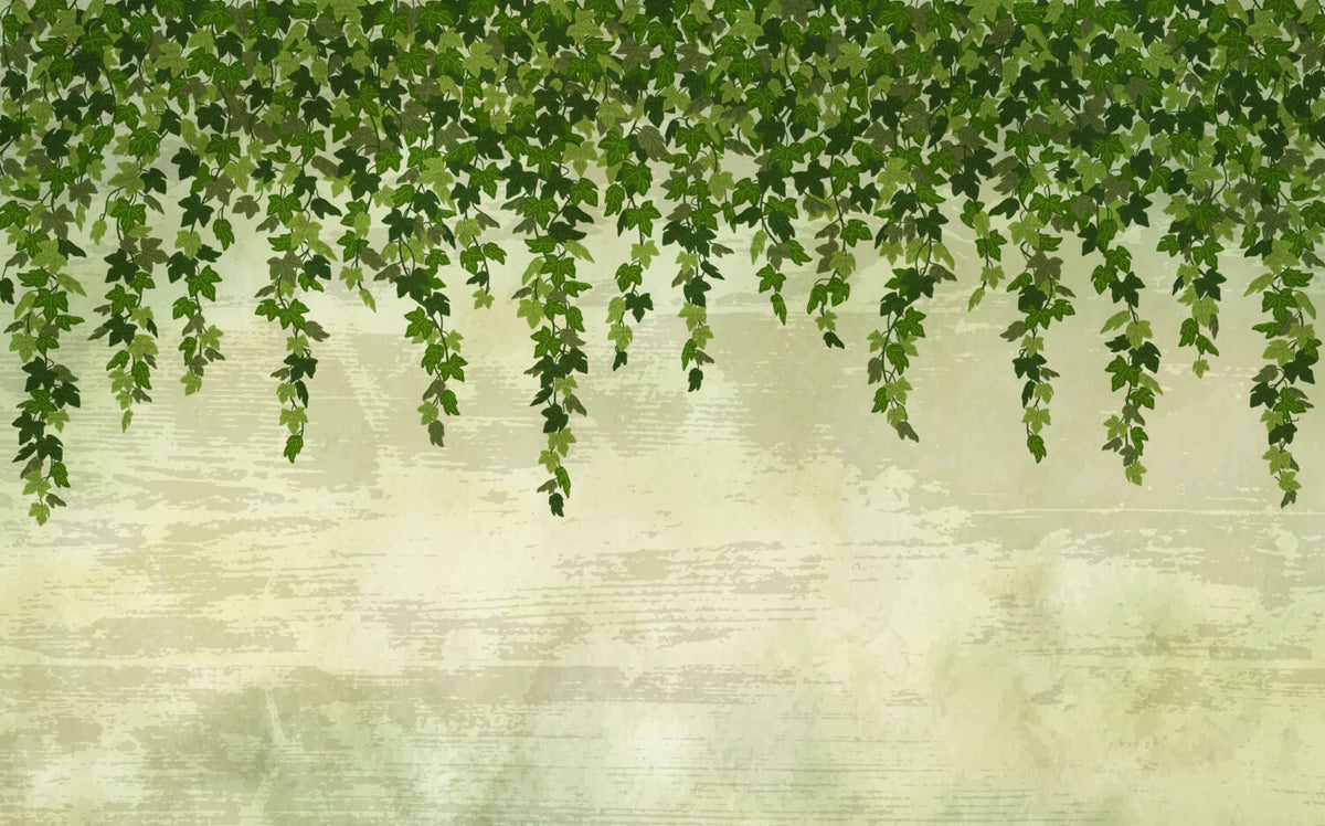 Hanging Ivy Wallpaper : Pale Green Vine Mural - View 2