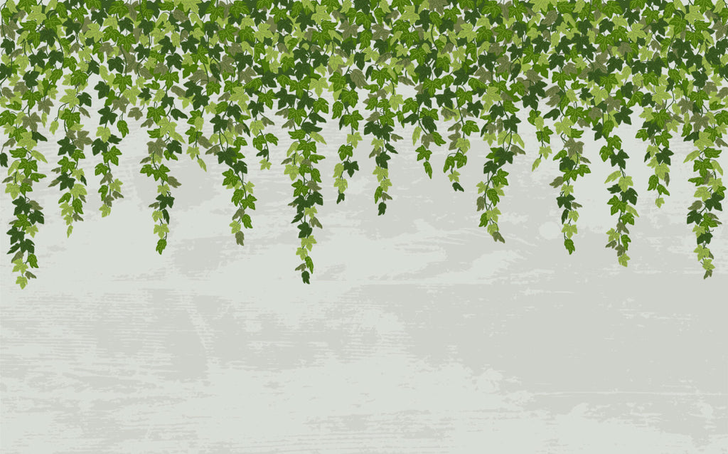 Hanging Ivy Grey Wallpaper : Soft Grey Vine Mural - View 2