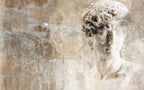 Distressed Greek Statue Wallpaper : Aged Plaster Classical Mural - View 2
