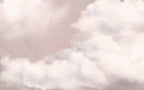 Blush Cloud Sky Wallpaper : Soft Pink Dreamy Mural - View 2