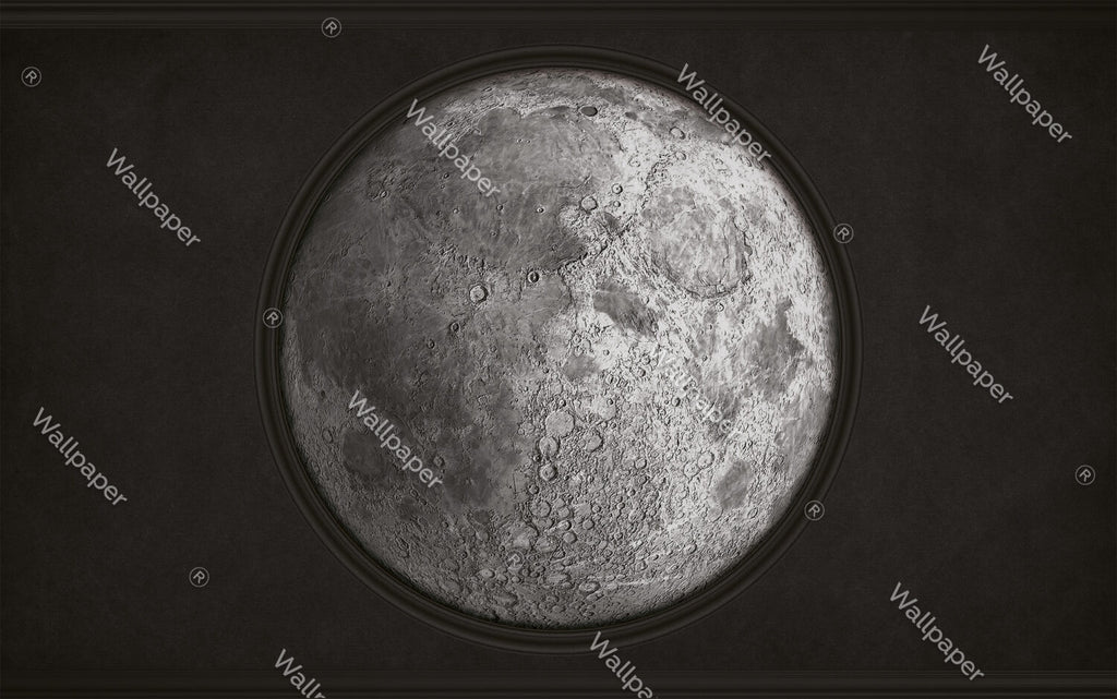 Full Moon Wallpaper : Realistic Lunar Surface Space Mural - flat design