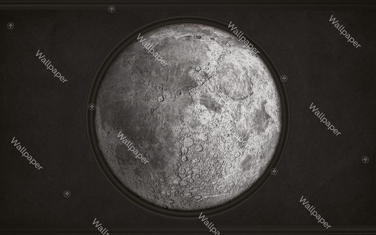 Full Moon Wallpaper : Realistic Lunar Surface Space Mural - flat design