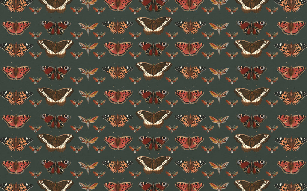 Vintage Butterfly Moth Wallpaper : Dark Green Specimen Pattern - flat design