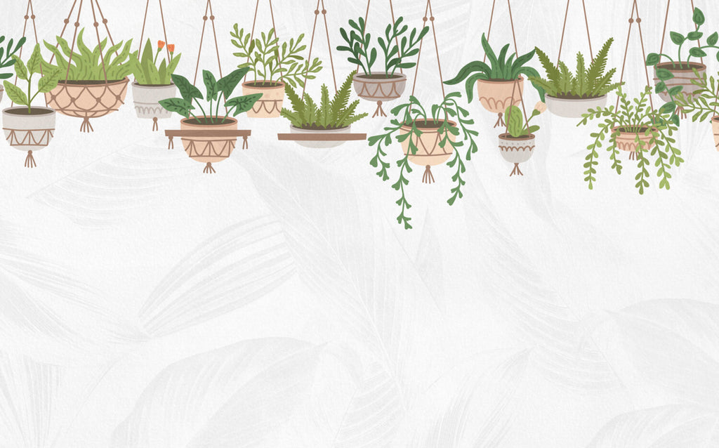 Hanging Plants Wallpaper : Trailing Potted Greenery Mural - View 2