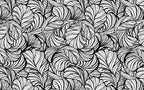 Black And White Leaf Line Wallpaper : Graphic Foliage Mural - View 2