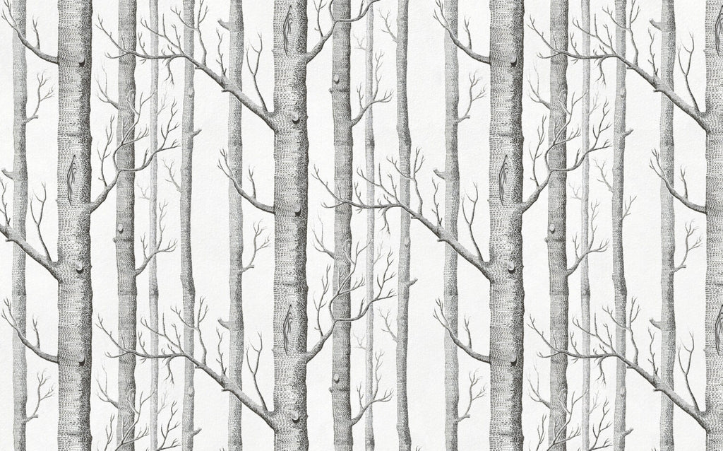 Birch Forest Wallpaper : Sketched Grey Trees Mural - View 2