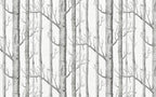 Birch Forest Wallpaper : Sketched Grey Trees Mural - View 2