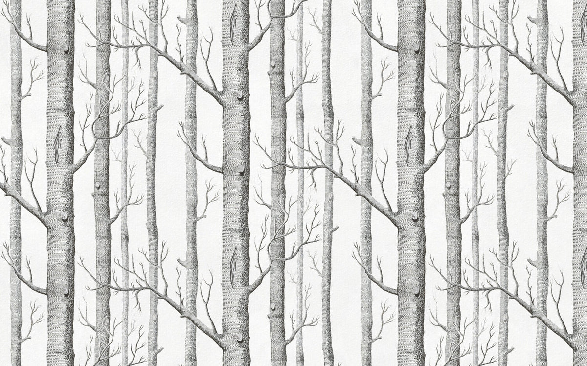 Birch Forest Wallpaper : Sketched Grey Trees Mural - View 2