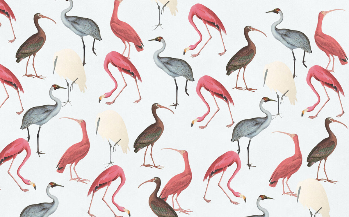 Flamingo And Ibis Wallpaper : Pastel Wading Birds Mural - View 2