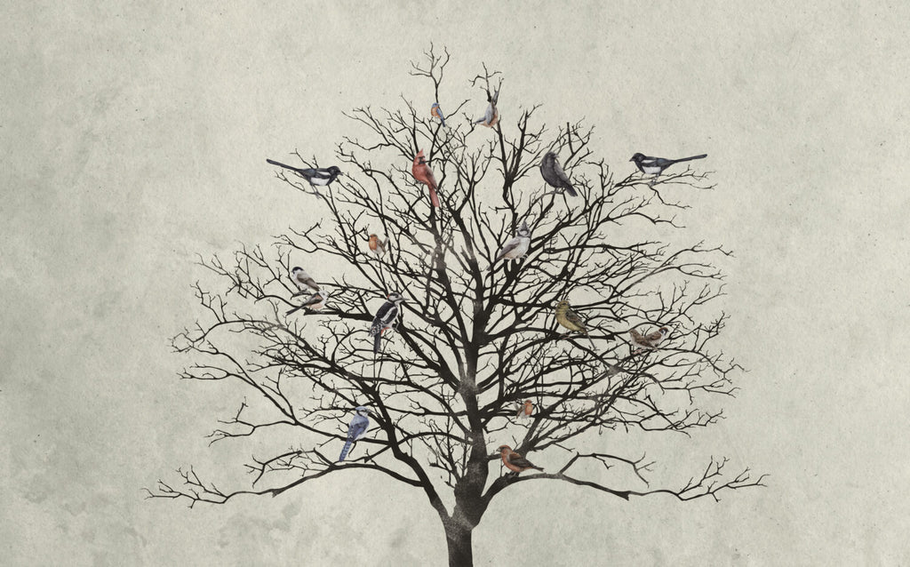 Bare Tree Birds Wallpaper : Black Branches On Cream Mural - View 2