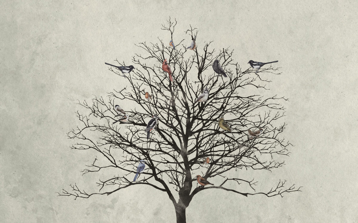 Bare Tree Birds Wallpaper : Black Branches On Cream Mural - View 2