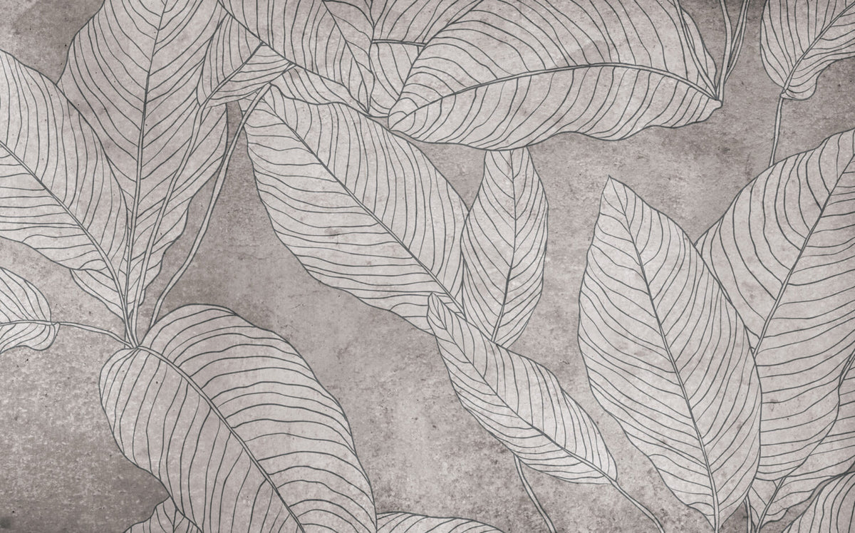 Line Leaf Plaster Wallpaper : Grey Concrete Botanical Mural - View 2
