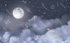 Moonlight Line Astronaut Wallpaper : Night Sky Kids Mural - View 2
