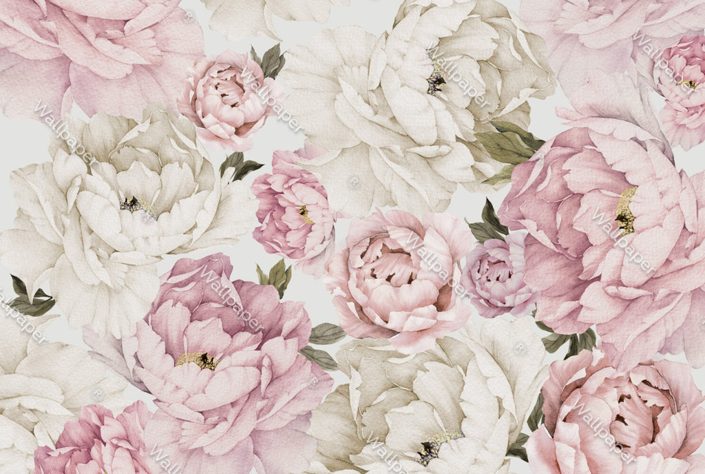 Pink Peony Rose Wallpaper : Large Blooms Floral Mural - View 2
