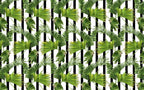 Striped Palm Leaf Wallpaper : Black White Tropical Pattern - flat design