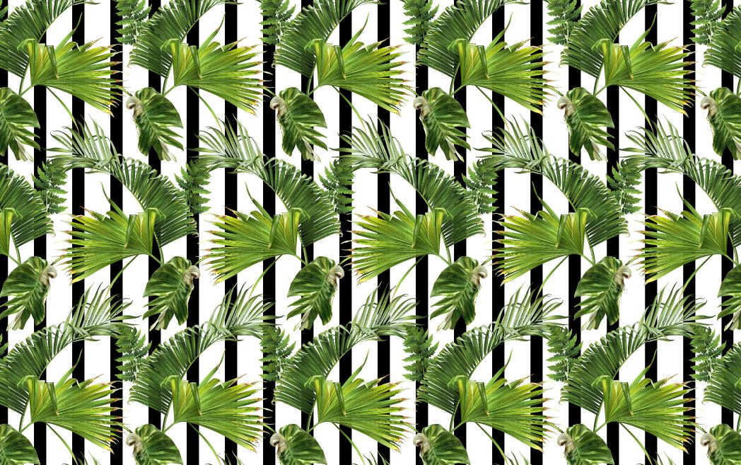 Striped Palm Leaf Wallpaper : Black White Tropical Pattern - flat design