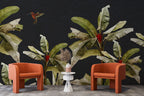Black Banana Leaf Wallpaper : Hummingbird Tropical Mural