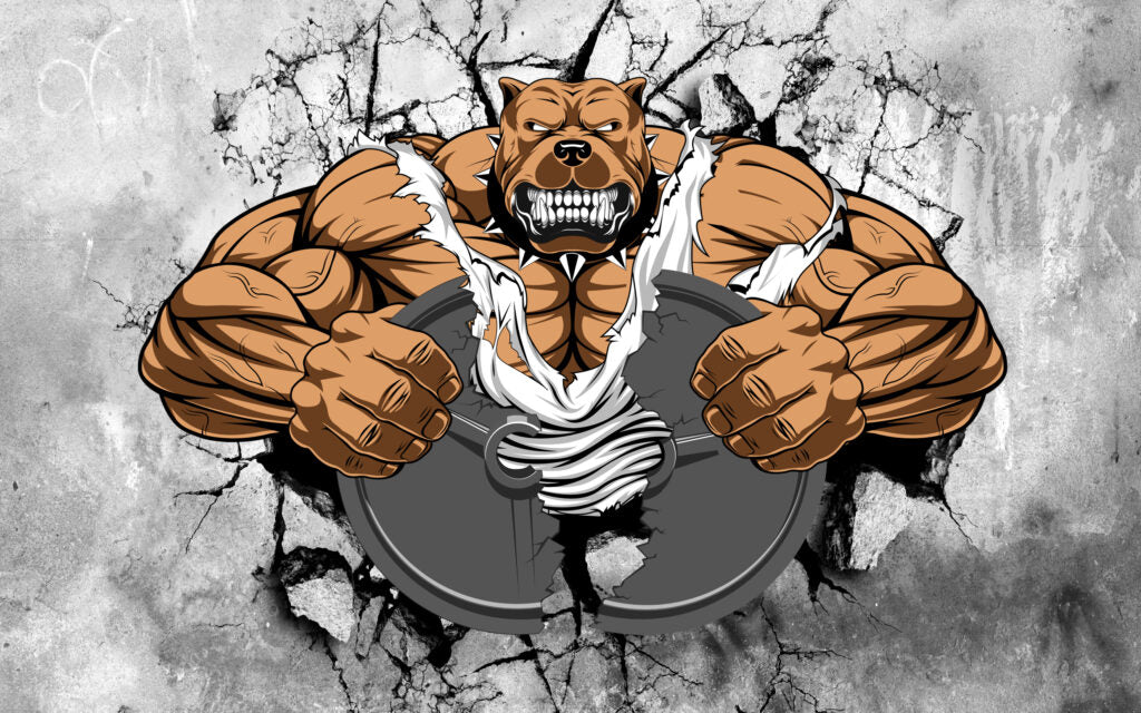 Muscle Bulldog Wallpaper : 3D Gym Breakthrough Mural - View 2