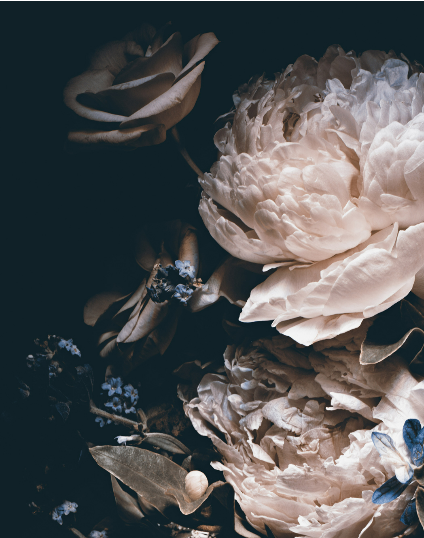 Black Peony & Rose Floral Mural – view 2