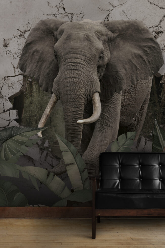 Elephant Wallpaper : 3D Wall Breakthrough Tropical Mural - View 5