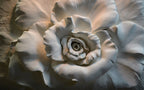 White Rose Relief Wallpaper : 3D Sculpted Rose Mural - flat design
