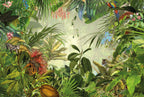 Vibrant Rainforest Wallpaper : Tropical Garden Animals Mural - flat design