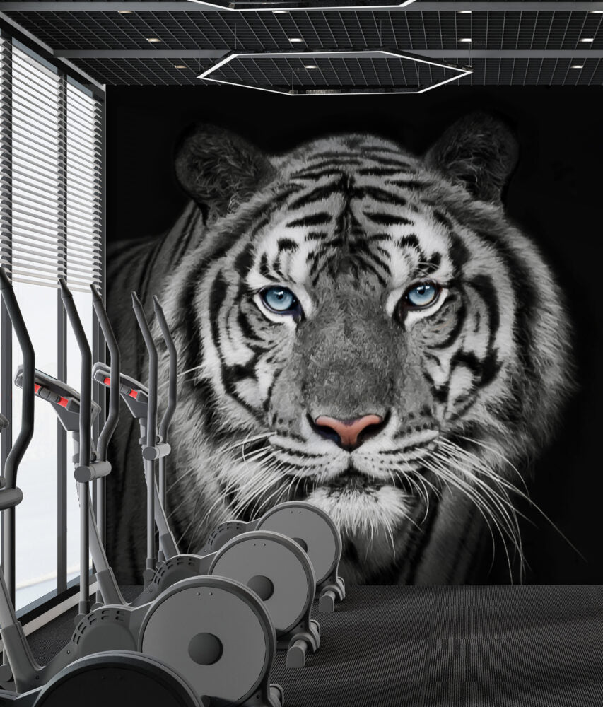 Tiger Wallpaper : Black and White Blue-Eyed Tiger Mural