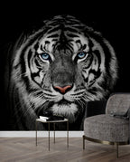 Tiger Wallpaper : Black and White Blue-Eyed Tiger Mural - View 4