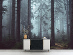 Dark Forest Wallpaper : Misty Pine Woods Mural - View 3