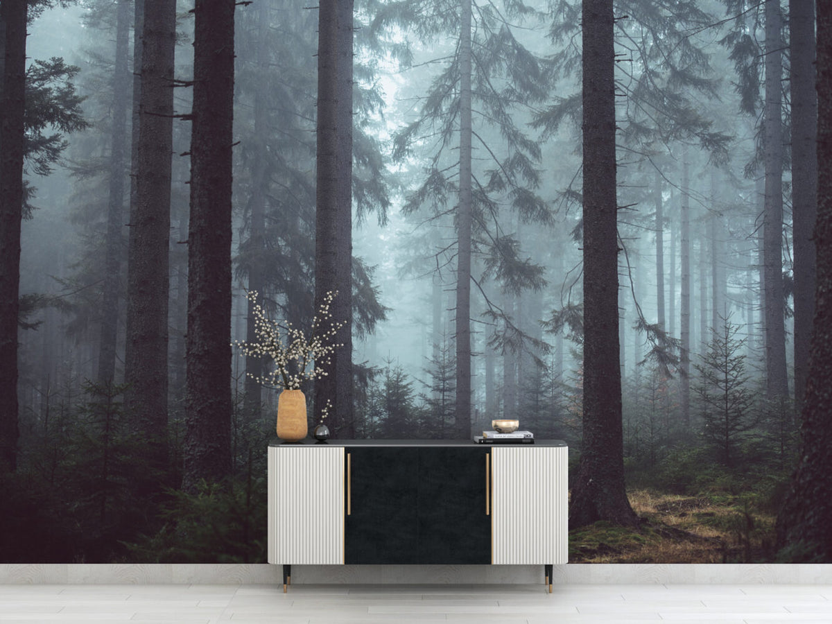Dark Forest Wallpaper : Misty Pine Woods Mural - View 3