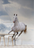 White Horse Wallpaper : Galloping Stallion in Clouds Mural