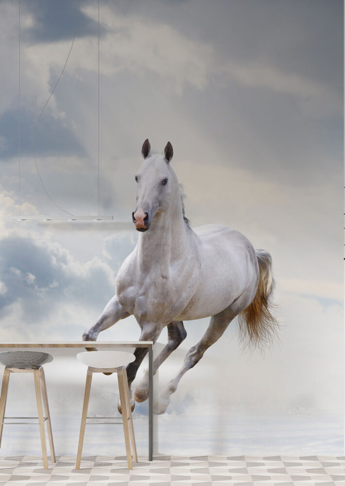 White Horse Wallpaper : Galloping Stallion in Clouds Mural
