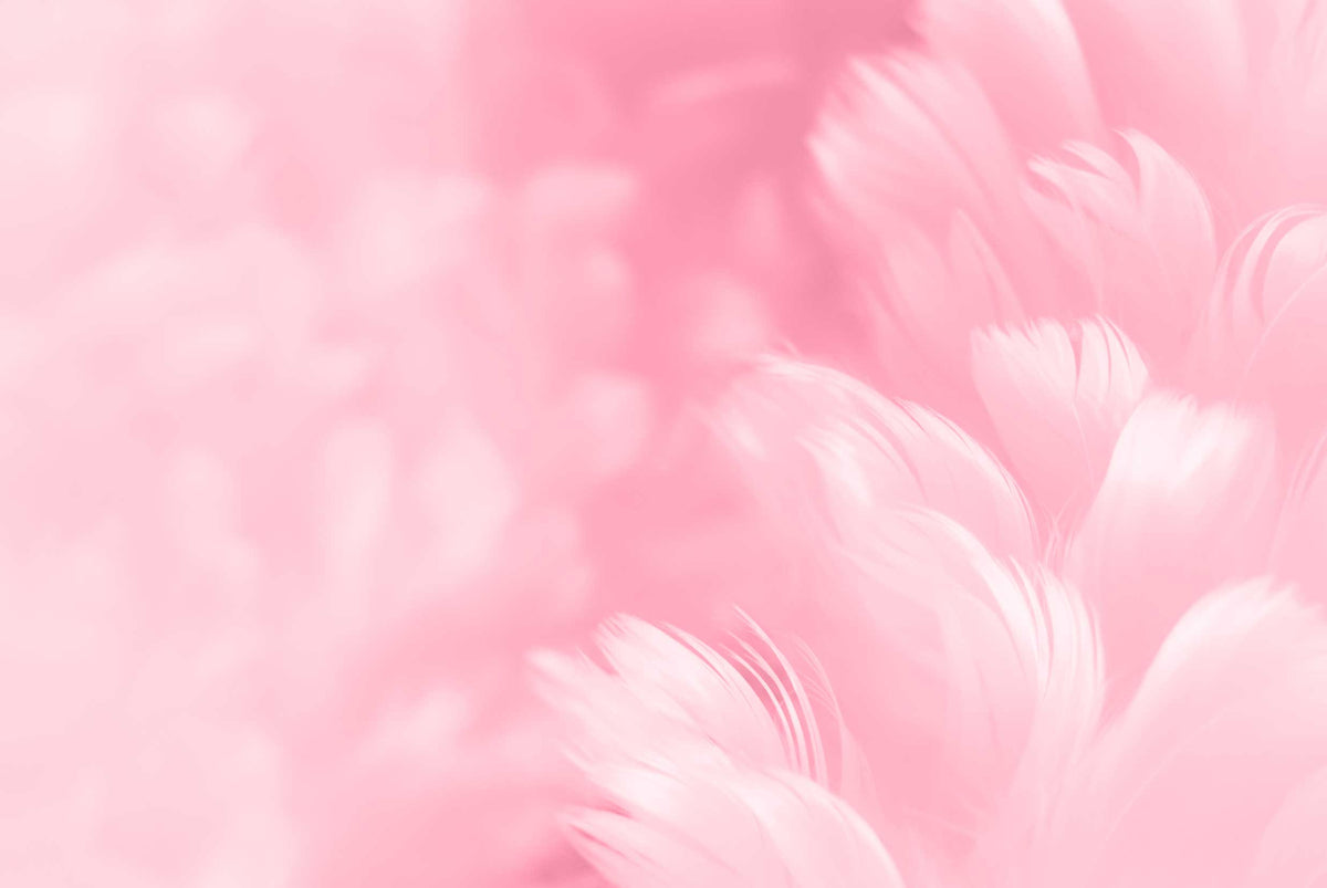 Pastel Feather Wallpaper : Soft Blue Abstract Mural - View 3
