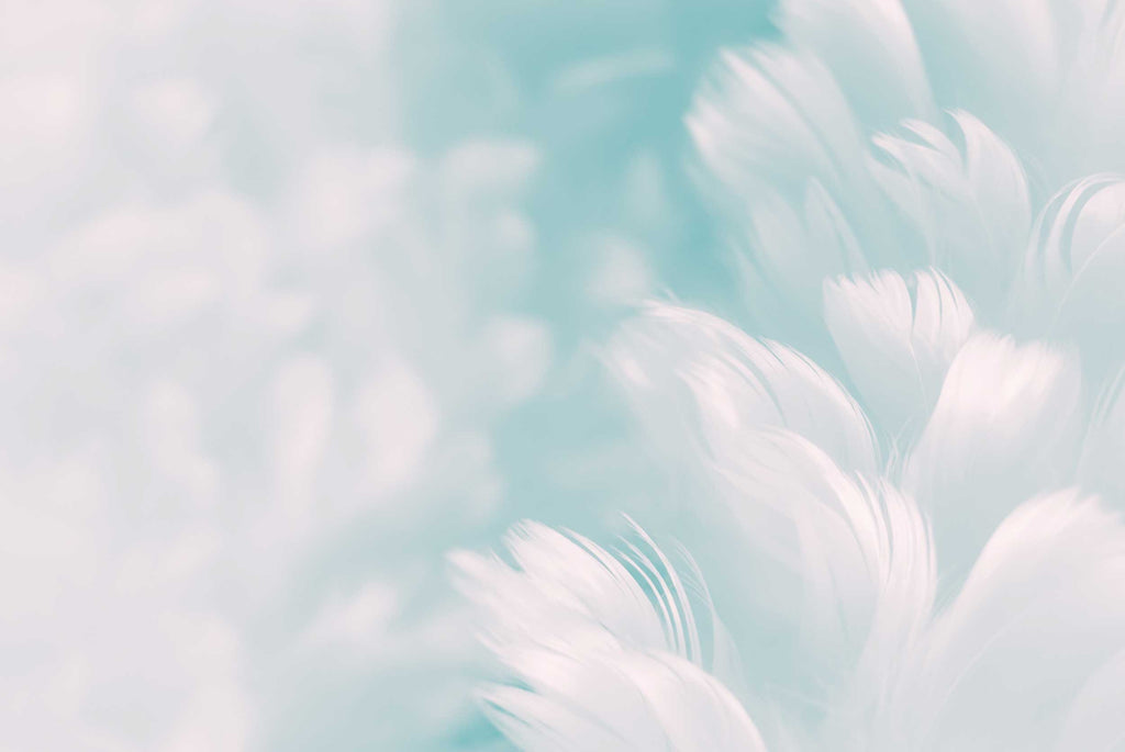 Pastel Feather Wallpaper : Soft Blue Abstract Mural - flat design