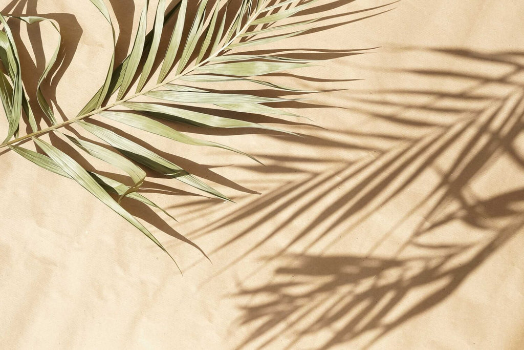 Palm Shadow Wallpaper : Beige Tropical Leaf Shadow Mural - flat design
