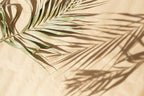 Palm Shadow Wallpaper : Beige Tropical Leaf Shadow Mural - flat design