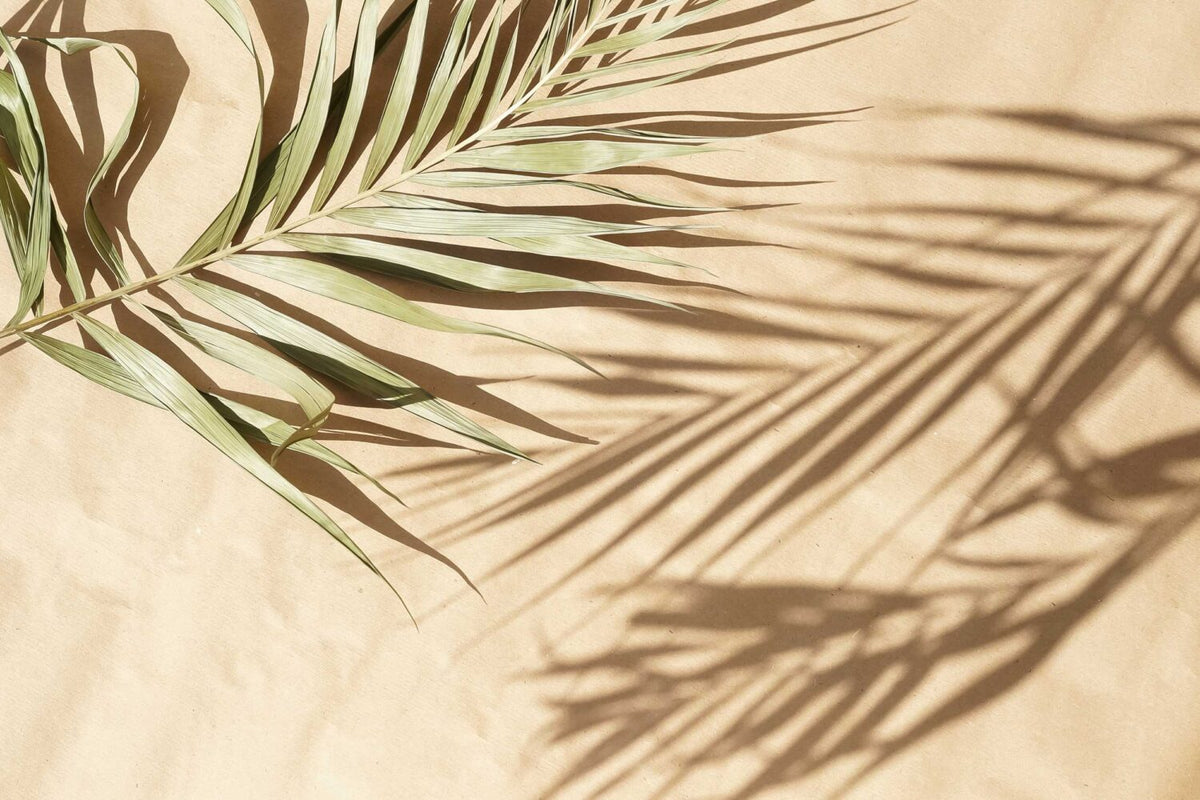 Palm Shadow Wallpaper : Beige Tropical Leaf Shadow Mural - flat design