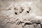 Stone Horses Wallpaper : 3D Relief Carving Mural - View 2