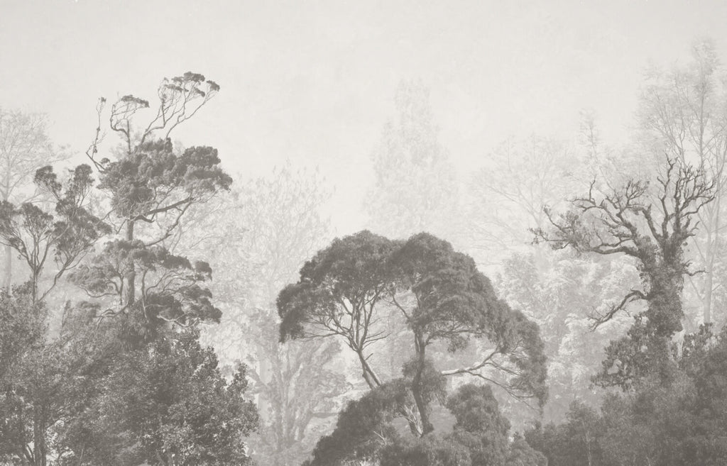 Grey Misty Trees Wallpaper : Soft Forest Silhouette Mural - flat design