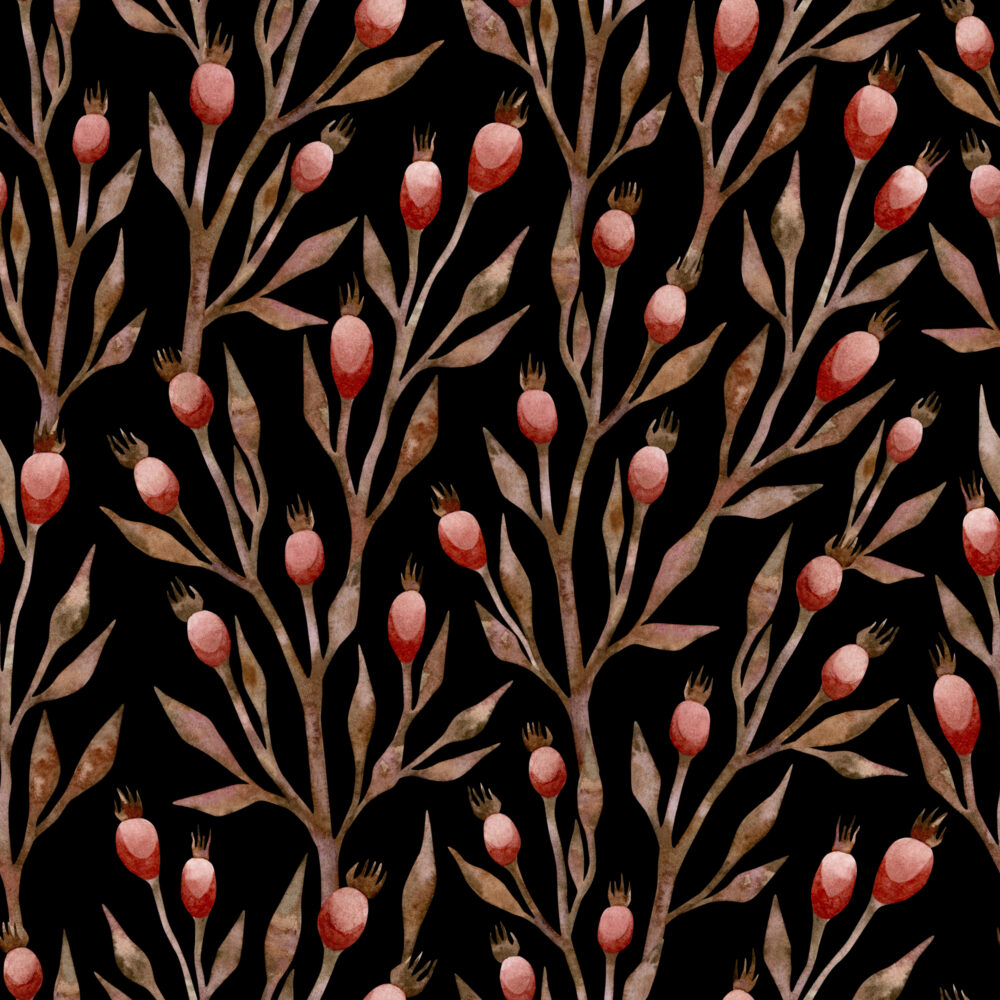 Rosehip Branch Wallpaper : Black Botanical Pattern - View 2