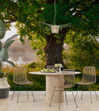 Lakeside Tree Wallpaper : Sunlit Green Oak Mural - View 3