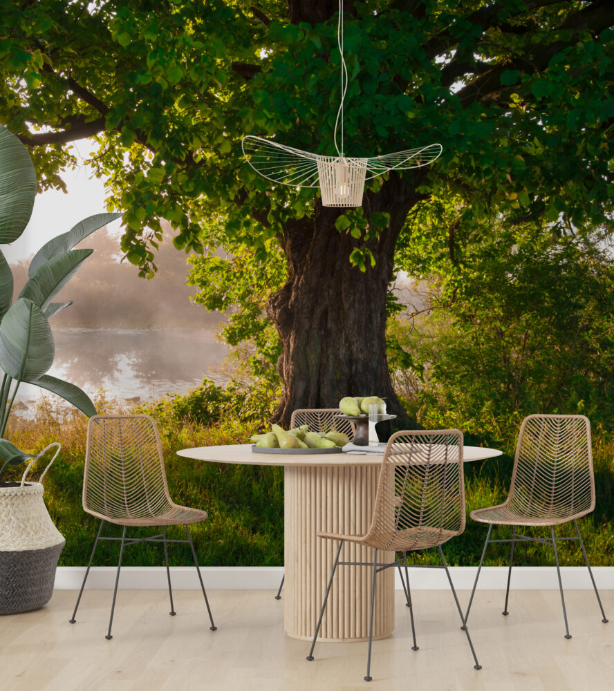 Lakeside Tree Wallpaper : Sunlit Green Oak Mural - View 3
