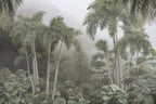 Misty Rainforest Wallpaper : Tropical Palms Fog Mural - View 2