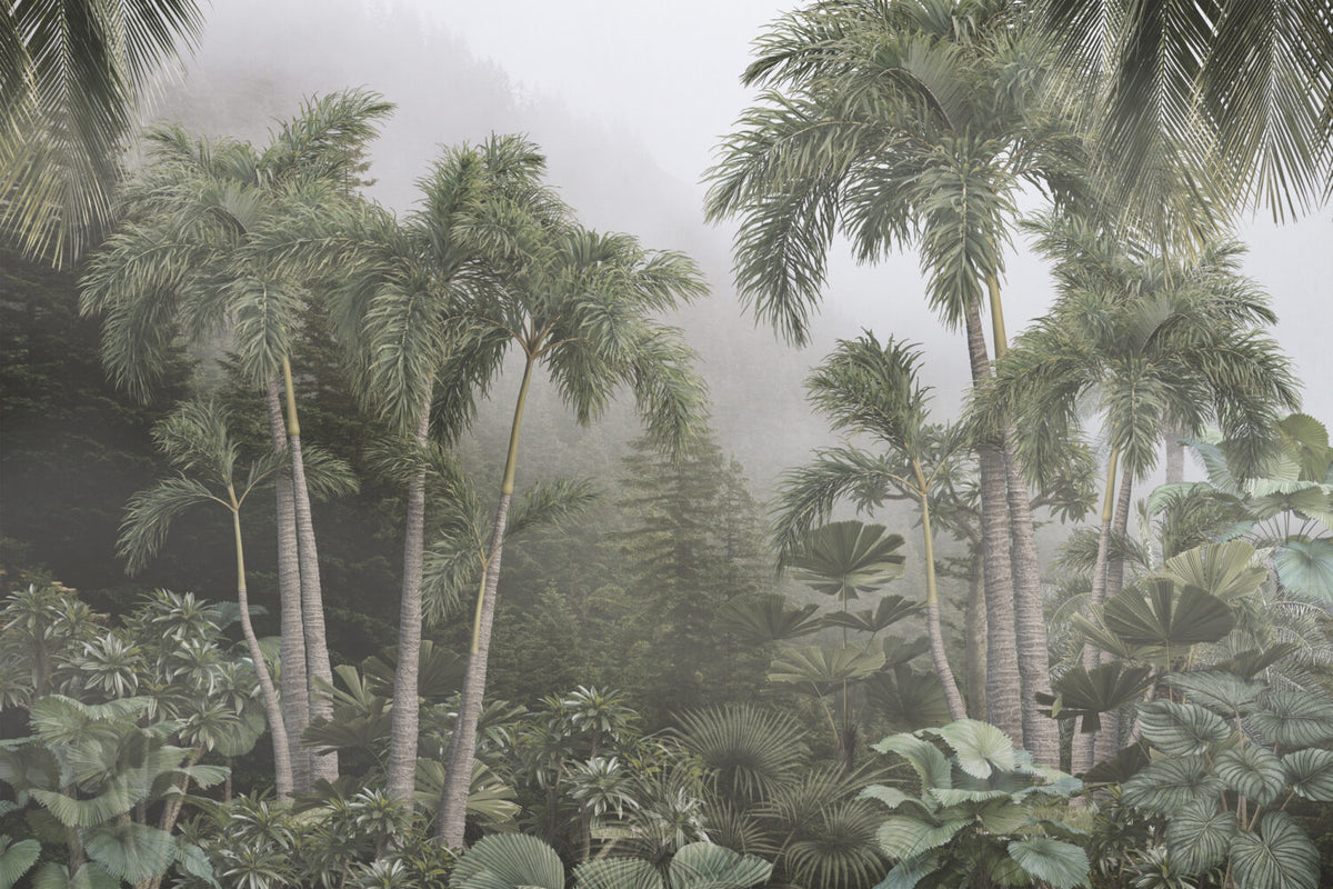 Misty Rainforest Wallpaper : Tropical Palms Fog Mural - View 2