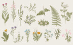 Botanical Herbs Wallpaper : Minimalist Wildflower and Fern Chart Mural - flat design